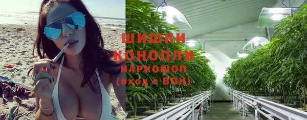 PSILOCYBIN Абаза