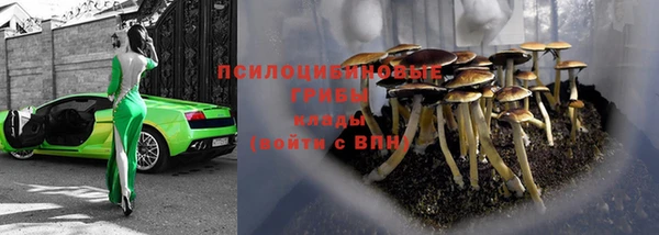 прущий лед Алексин