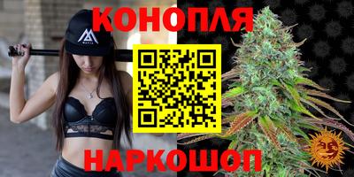 прущая мука Будённовск