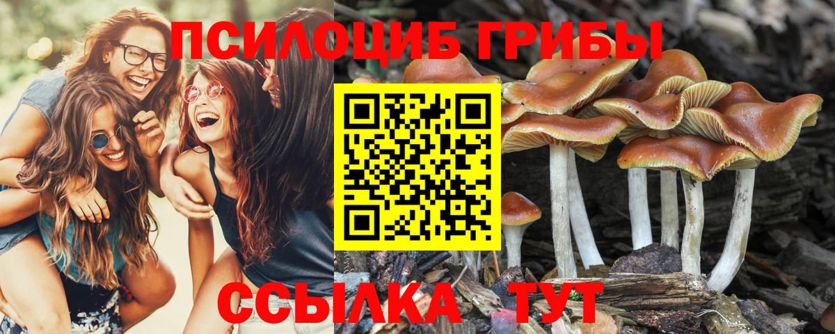 Советская Гавань  Псилоцибиновые грибы GOLDEN TEACHER  Вход с VPN 
